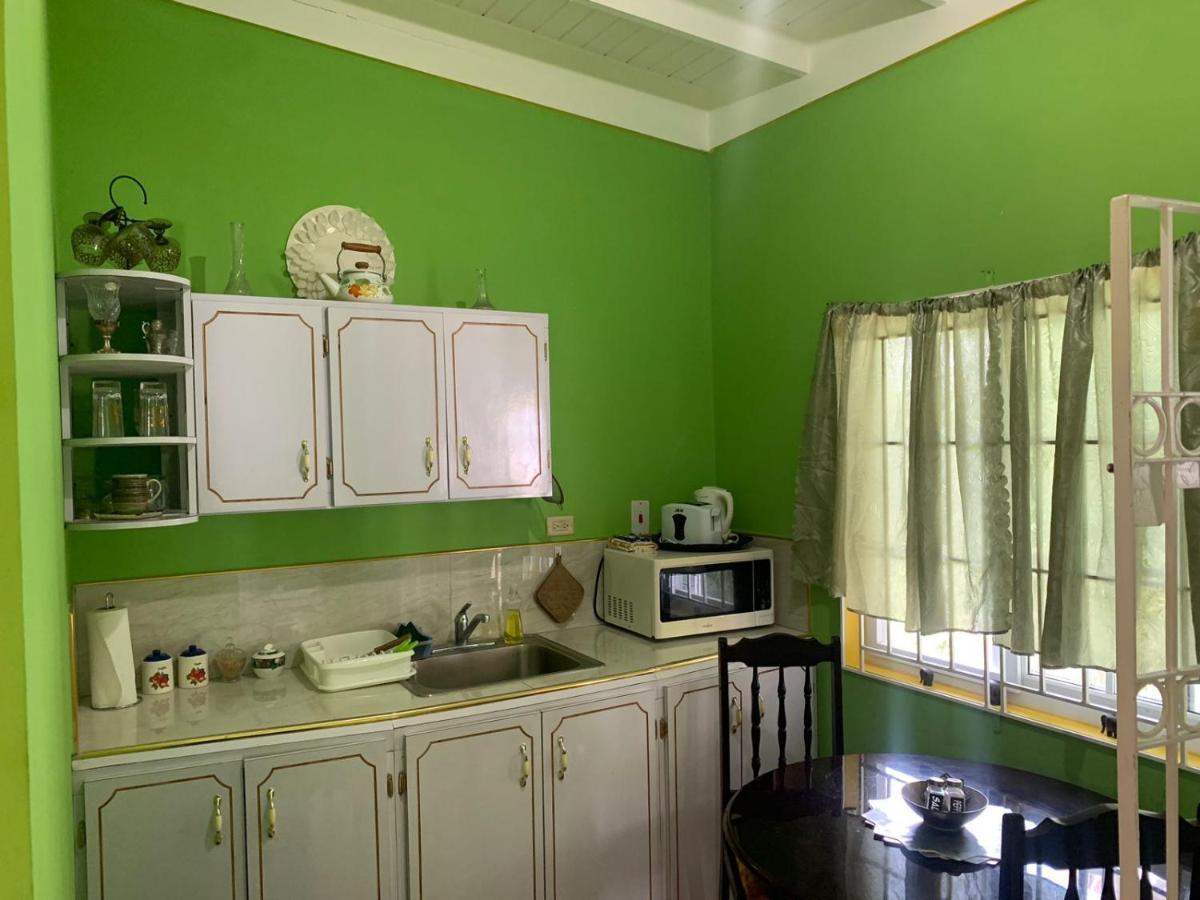Shalom Suite 2, Manor Park Кингстън Екстериор снимка