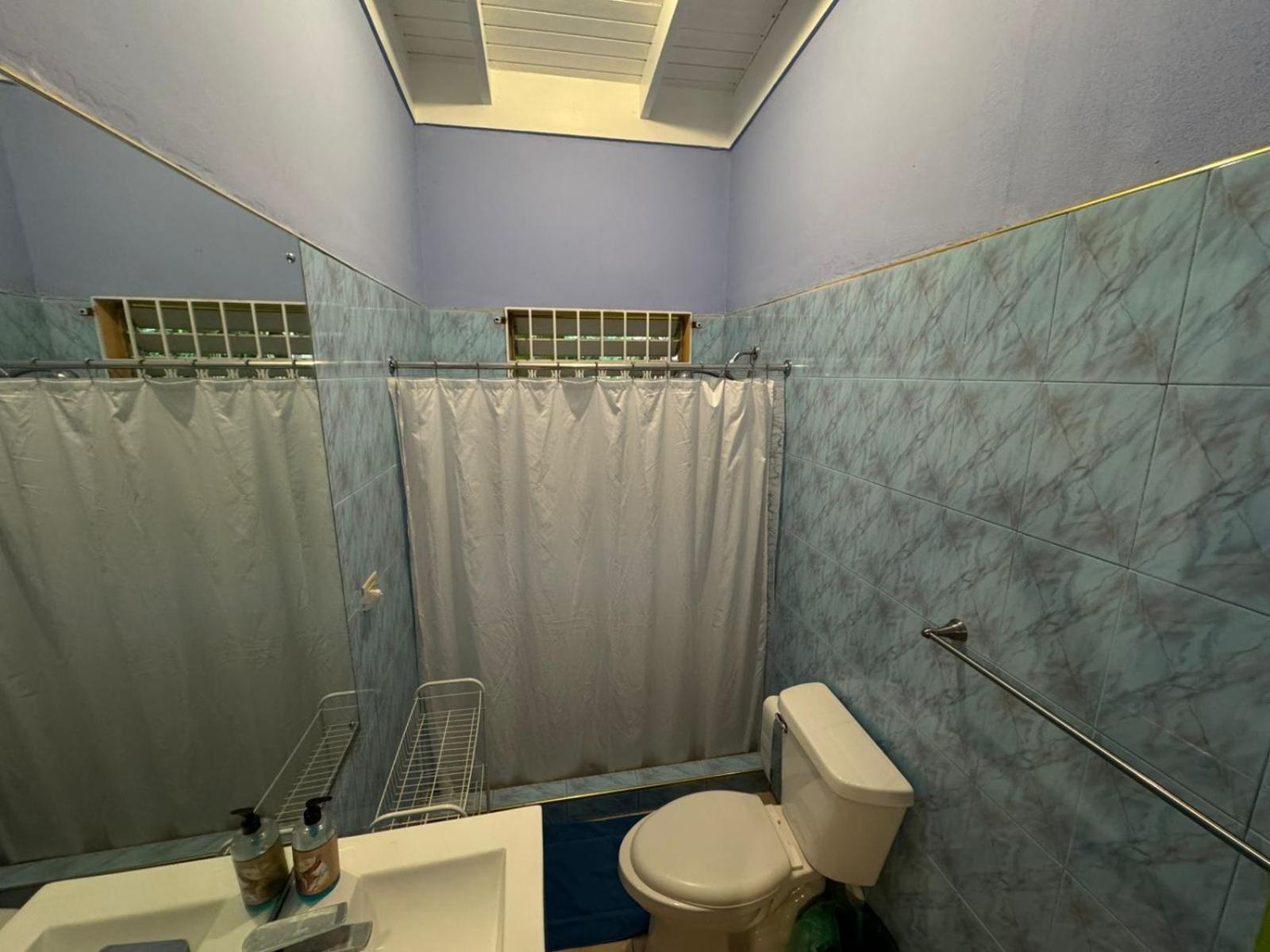Shalom Suite 2, Manor Park Кингстън Екстериор снимка
