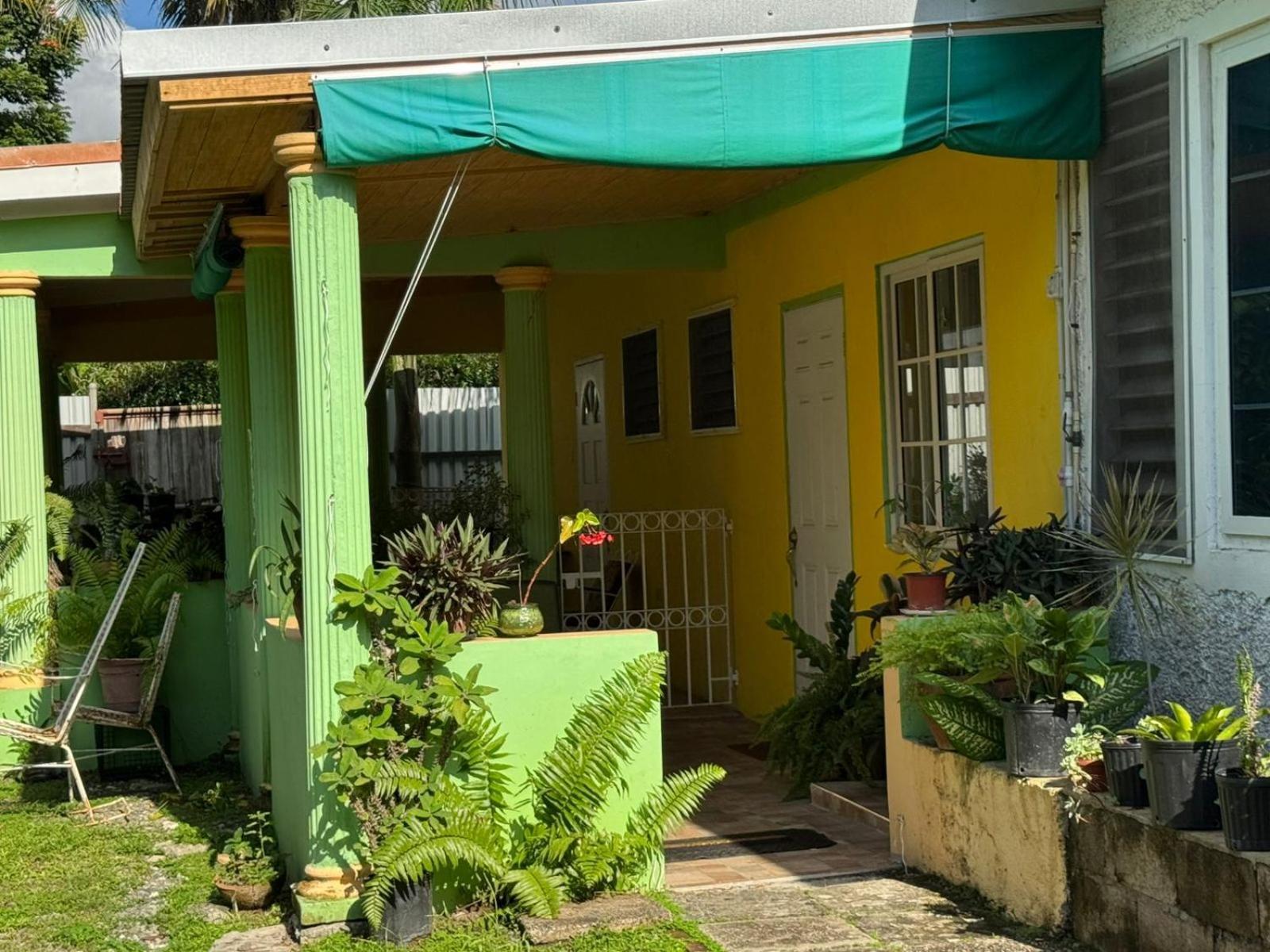 Shalom Suite 2, Manor Park Кингстън Екстериор снимка